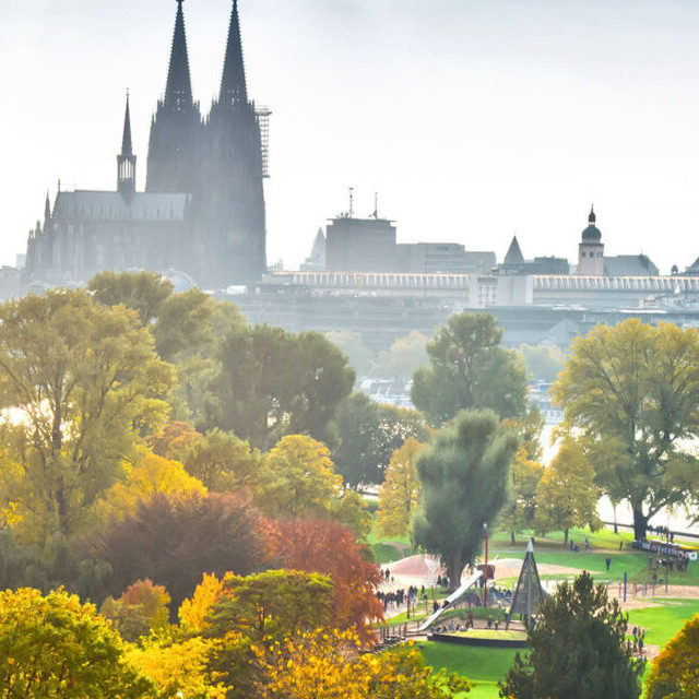 Im Vordergrund ist grüne Wiese und Büsche und Bäume in Herbstfarben. Im Hintergrund sieht man die Skyline von Köln, in der Mitte den Kölner Dom.
